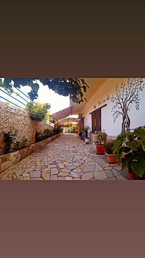 Olive Tree Villa Lijá Kültér fotó