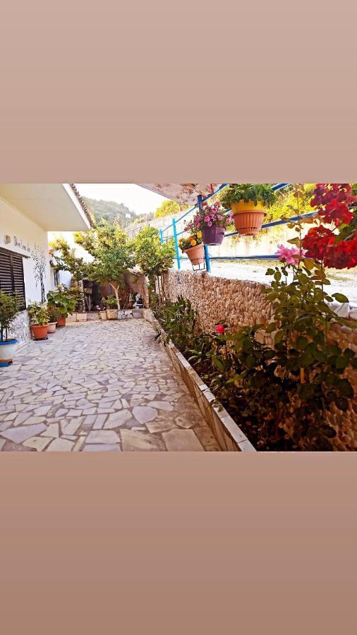 Olive Tree Villa Lijá Kültér fotó