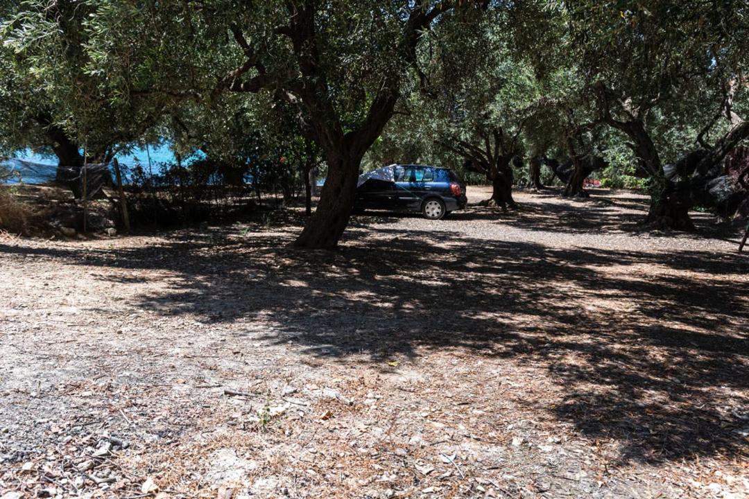 Olive Tree Villa Lijá Kültér fotó