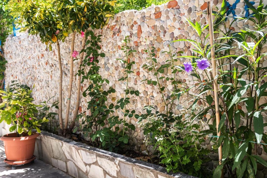 Olive Tree Villa Lijá Kültér fotó